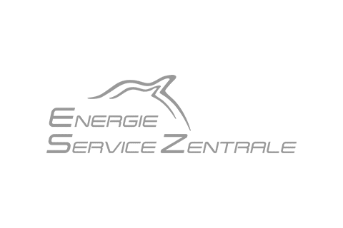 Logo of ESZ, BAROIAN client